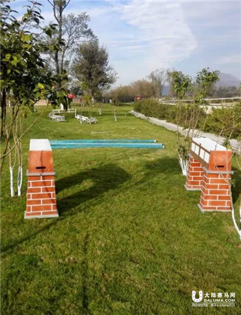 嘉丽泽马术11月29日 小马趣味赛.png