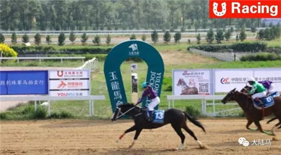 大陆赛马网直播：11.4玉龙国际赛马公开赛转战武汉首场赛事