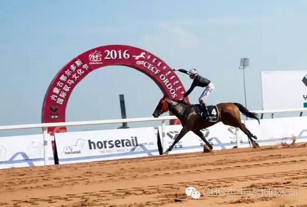 驭马奔腾 助力体育强国民族梦——CECF鄂尔多斯驭马文化节圆满收官 9.jpg