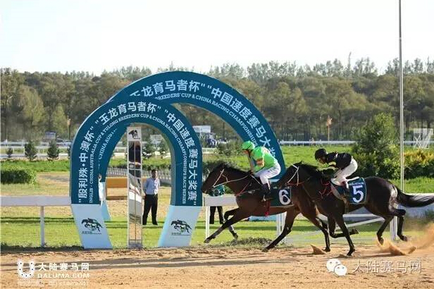 《马上聚焦》玉龙赛马日视频全记录+竞猜游戏中奖名单 20.jpg