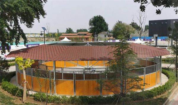 北京威斯恩国际马术设备有限公司:中国马术设备领军企业! 大陆马 (25).jpg