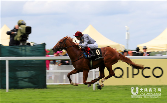 2016皇家阿斯科特赛马会首日全记录:“天文金骏”抢风头 (3).jpg