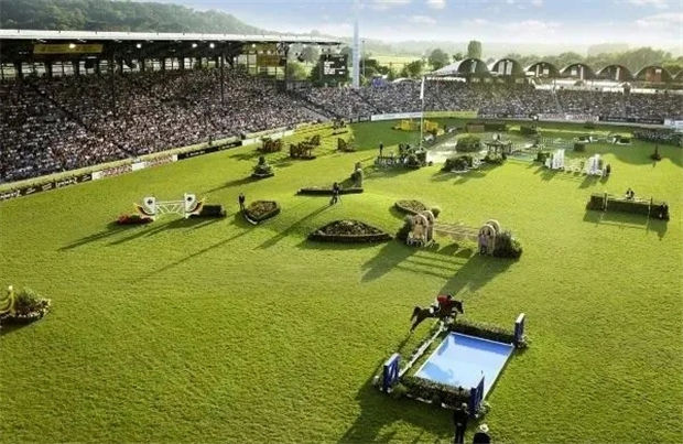 不受新冠疫情影响 2020德国亚琛世界马术节将继续积极筹备 青马网.jpg