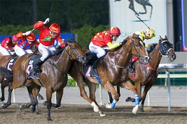 CHC杰士马主俱乐部两匹赛马同日南北半球双双告捷 大陆赛马网.jpg