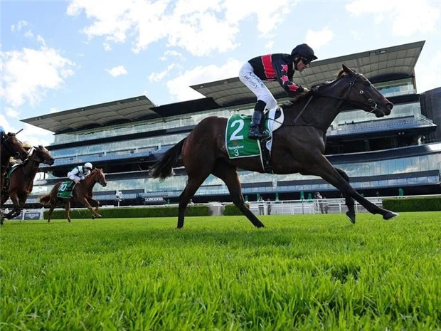 Aquis Farm雅士牧场2岁雌马“客场比赛”二级赛夺冠 奖金已超1200万 大陆赛马网 (1).jpg