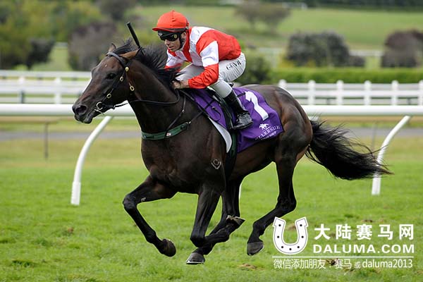 蒙古可汗Mongolian_Khan 大陆赛马网.jpg