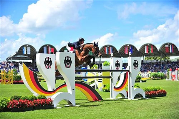 青马课堂:优秀马术骑手必备的10个品质 大陆马.jpg