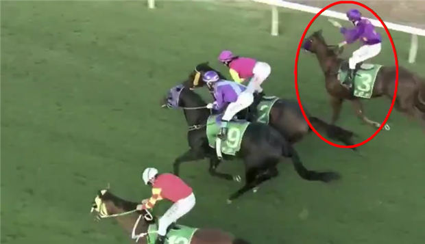 “脑残”澳洲骑手赛场重拳打马头,被禁赛7个月 大陆赛马网 (1).jpg