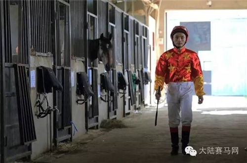 《马上聚焦》覃勇陈黎:驰骋在巴巴多斯赛场上的中国赛马双子星 5.jpg