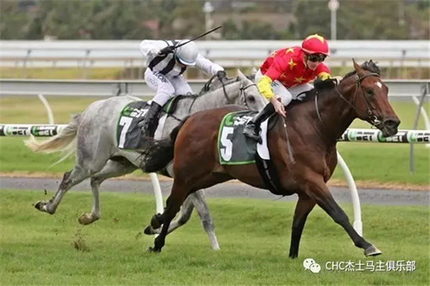 CHC杰士马主俱乐部2岁公马“逐影”澳洲夺冠:30万澳币购自神奇百万 大陆赛马网 (2).jpg