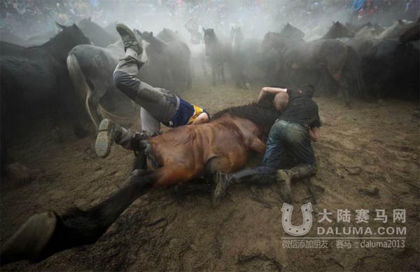 《时代周刊》评出2014年最佳马影像,总有一张震撼你的心灵 大陆赛马网2.jpg