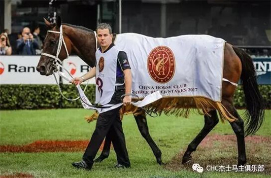 没有悬念!世界第一赛马女王“云丝仙子”迎来24连胜 大陆马 大陆赛马网 (4).jpg