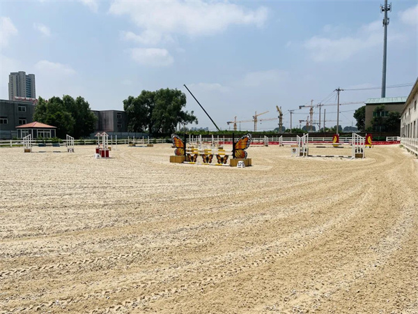 东骏马术夏令营开营 (5).jpg