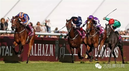 一周全球赛马新闻精选NO.2:中国俱乐部海外狂揽5冠,美总统选举频提赛马 大陆赛马网2.jpg