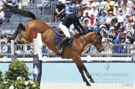 花三个亿为女儿养马,原来有钱人家这么养娃 大陆马 大陆赛马网 (26).jpg