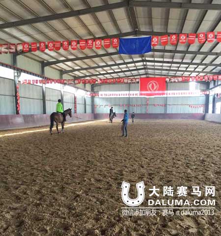 山东汶上欧亚调良马术俱乐部 大陆赛马网.jpg