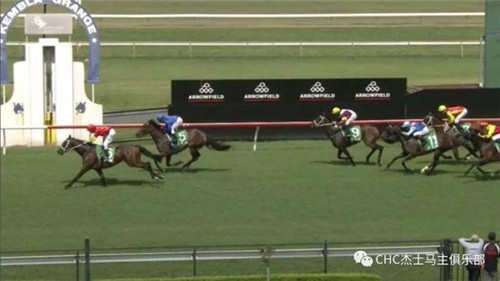 CHC杰士马主俱乐部赛驹闪耀澳洲赛场:三天狂揽四冠6.jpg