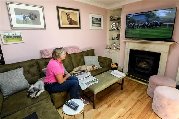 这匹马因疫情没来中国:玉龙马业“猎狐大师”爱尔兰精彩夺冠 大陆赛马网 (2).jpg