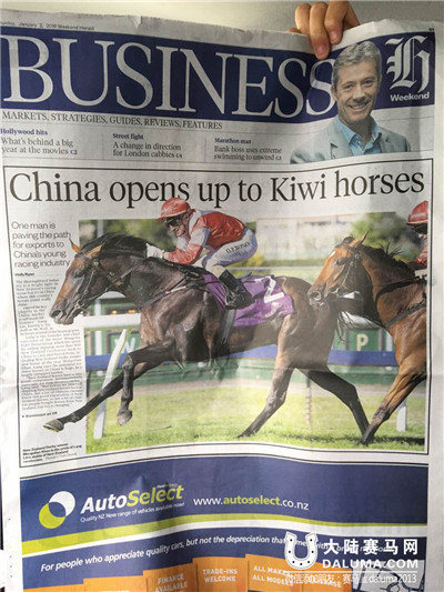 新西兰先驱报商业版报道莱德马业 大陆赛马网1.jpg