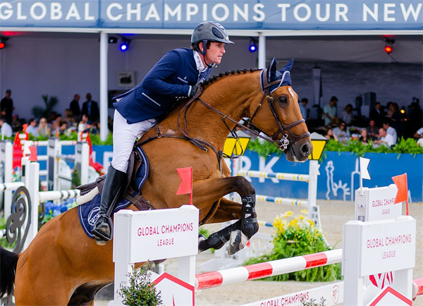 19匹马超2300万成交额!全球顶级温血马拍卖会完美收官! 大陆马 (24).png