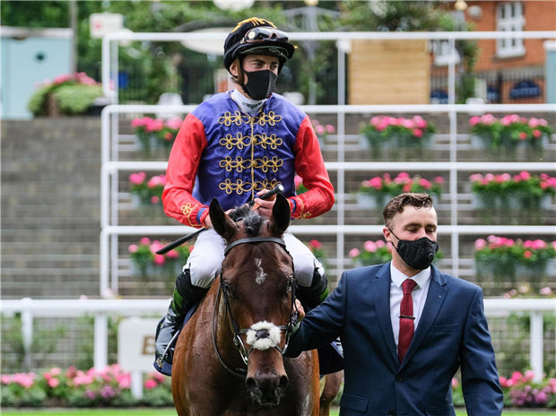 英女王68年来首次缺席皇家赛马会,却时隔四年迎来雅士谷冠军 大陆赛马网 (2).jpg