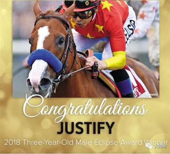 “赛马奥斯卡”揭晓,CHC再登世界舞台中央:“正义”获美国日蚀奖年度马王6-大陆赛马网.jpg