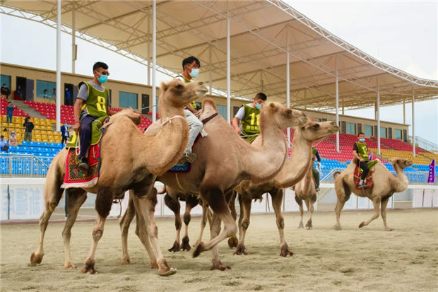 100多场比赛、564万奖金!新疆马会:热烈欢迎内地马主来新疆赛马 大陆赛马网 (4).jpg