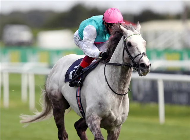 杭州亚运马术场馆明年10月竣工,全球赛马排名榜单更新 (1.jpg