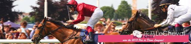 古堡,骏马,美女,音乐节……戴安娜大奖赛满足你对法国的所有浪漫想象 5.jpg