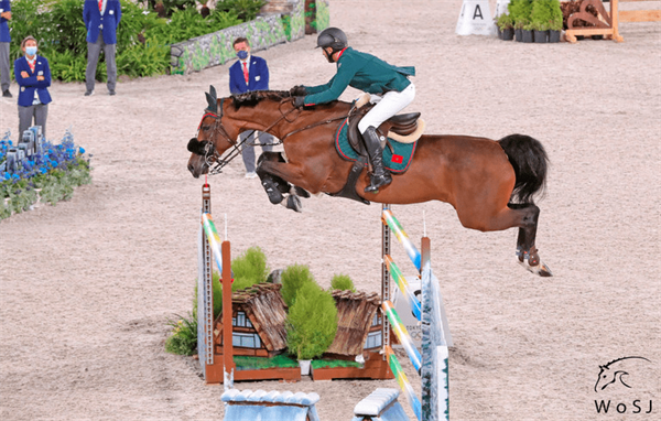 摩洛哥骑手的东京奥运会参赛马Golden Lady出售 大陆马.png