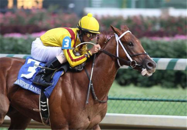 令美国赛马界遗憾的天才赛驹“更快来”:三战全胜,2岁受伤被迫退役做种马 大陆赛马网 (3).jpg