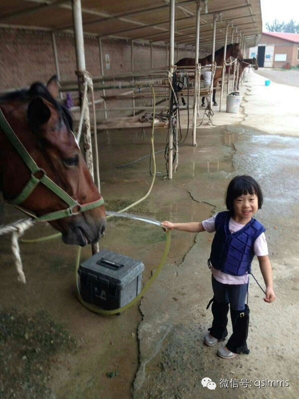 中联骑士联盟《我与马儿亲密接触》摄影大赛第五期投票 大陆赛马网2.jpeg