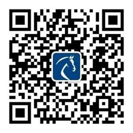 北京威斯恩国际马术设备有限公司:中国马术设备领军企业! 大陆马 (1).jpg