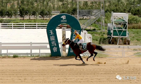 玉龙新赛季首匹两连胜赛马诞生!“小松带刀”升班告捷! 大陆马 (1).jpg