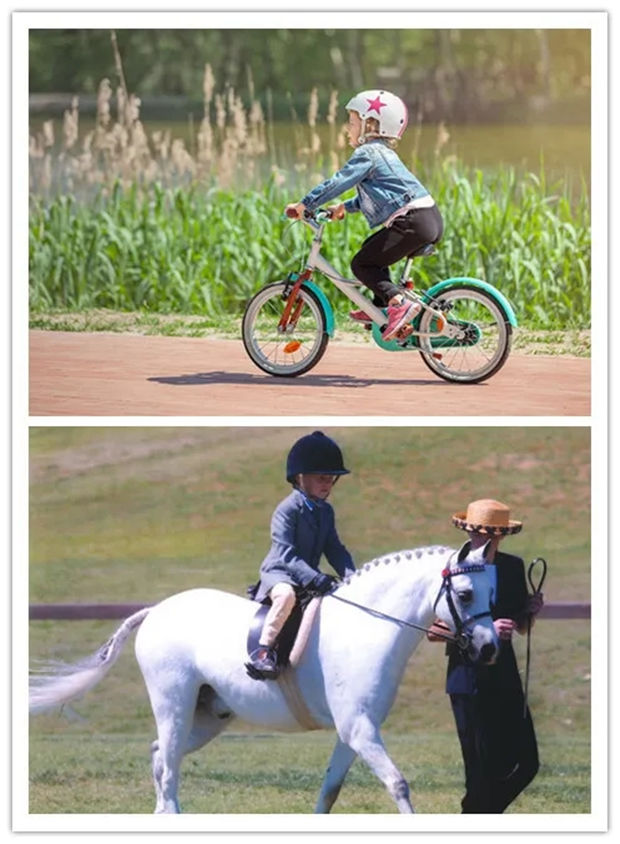 国家发布“一盔一带”,头盔价格暴涨!马术头盔市场总额2025年将达6亿 青马网大陆马 (1).jpg