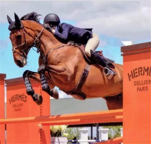 你会像吴彦祖一样,因为老婆喜欢马术,在购物清单上要给她买匹马么? 青马网大陆马 (20).jpg