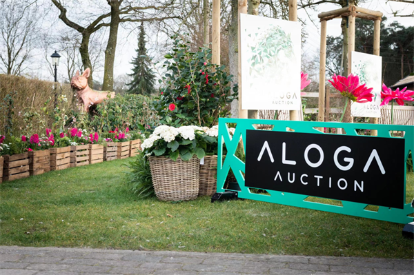 全球顶级马术赛马拍卖会即将开幕!冠军骑手为你选马! 大陆马 (5).png