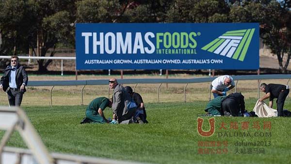 2天2女骑师坠亡 澳全国赛马俱乐部降半旗悼念 大陆赛马网3.jpg