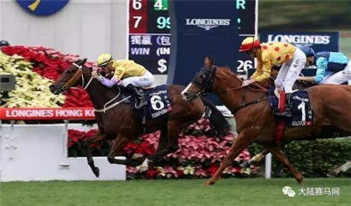 赛马让世界聚焦香港:全球精英赛驹角逐4场8300万奖金一级赛3.jpg