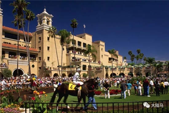 全球排名第一赛事即将上演:CHC“探险家”决战200万美元一级赛.webp (1).jpg