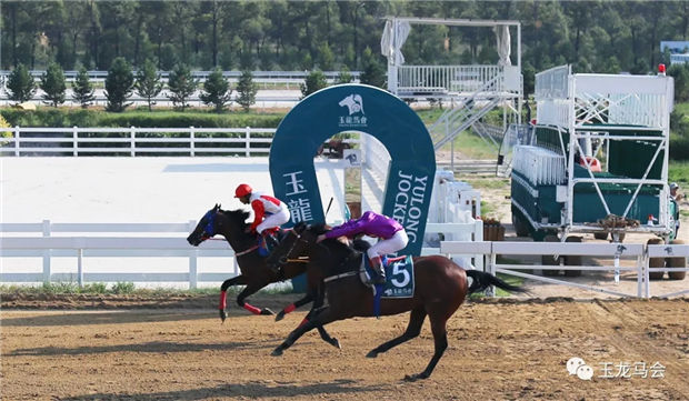 2019玉龙赛道1600米速度最快、单场豪取100万奖金赛马:“勇强旋风” 大陆赛马网 (2).jpg