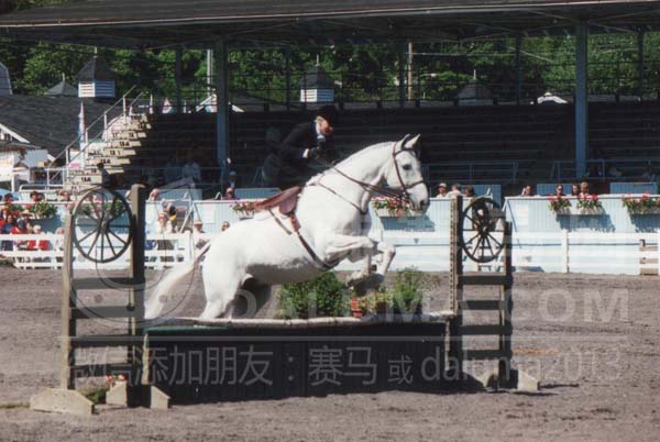 侧鞍骑马行天下!伊丽莎白女王和安吉丽娜·朱莉的珍贵侧骑照 大陆赛马网8.jpg