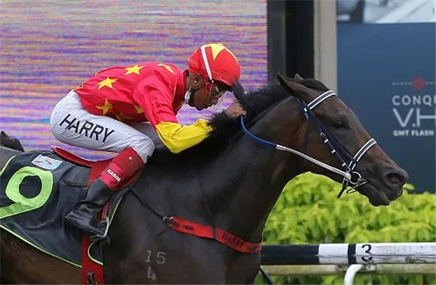 新加坡疫情后首个赛马日!CHC杰士马主俱乐部“民族魂”爆冷夺冠 大陆赛马网.jpg