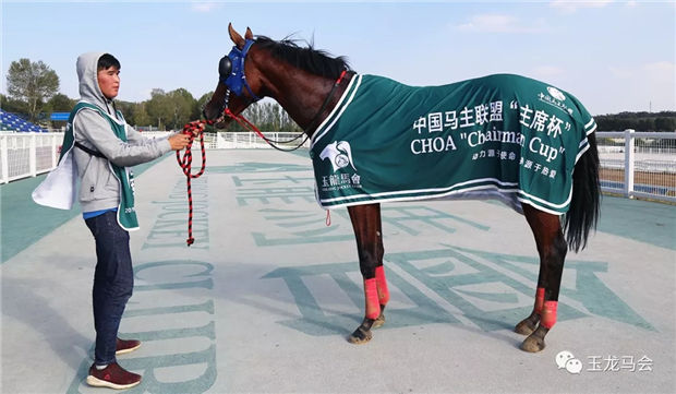 2019玉龙赛道1600米速度最快、单场豪取100万奖金赛马:“勇强旋风” 大陆赛马网 (3).jpg