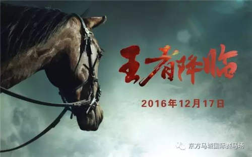 2016最后一战	：69匹赛驹角逐武汉赛马年度总决赛