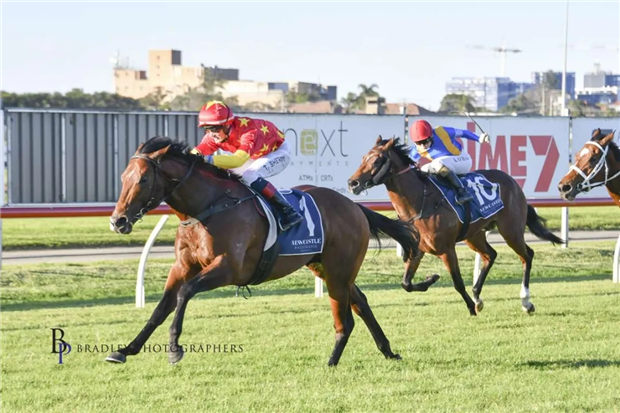 反超10匹马上演惊天大逆转!CHC杰士马主俱乐部三岁公马“匡提科”澳洲夺冠 大陆赛马网 (1).jpg