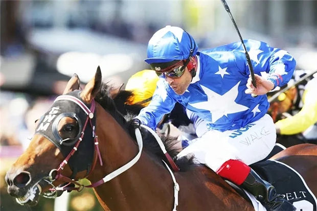 女马主冯常慧“大赢家”澳洲精彩赢得第8冠!总奖金近300万!大陆赛马网 (1).jpg