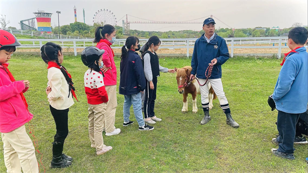 青马·校园马术社团 大陆马陪伴小小骑士一路成长! 大陆马 (7).png