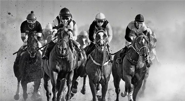 支持抗疫 英国马主欲以“国民保健制度”同音词命名赛马 大陆赛马网.jpg