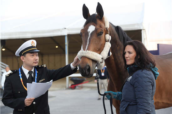 2017上海浪琴环球马术冠军赛首批赛马今晨抵沪5.jpg